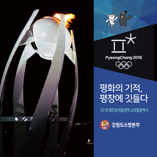 2018 평창동계올림픽 소방활동 백서