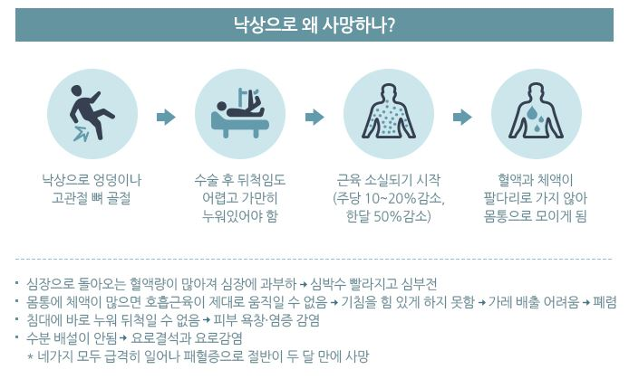 낙상 사망의 원인.JPG