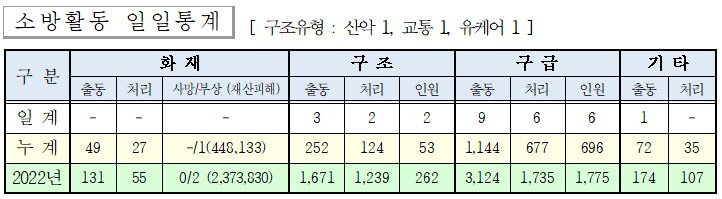 인제소방서 일일상황보고.png