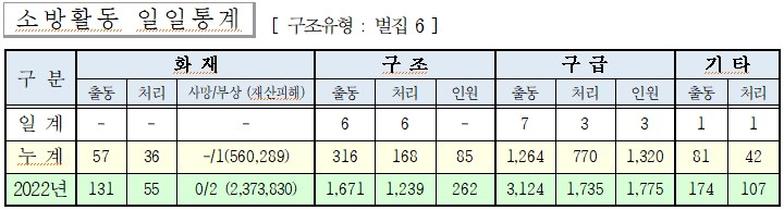 인제소방서 일일상황보고.jpg