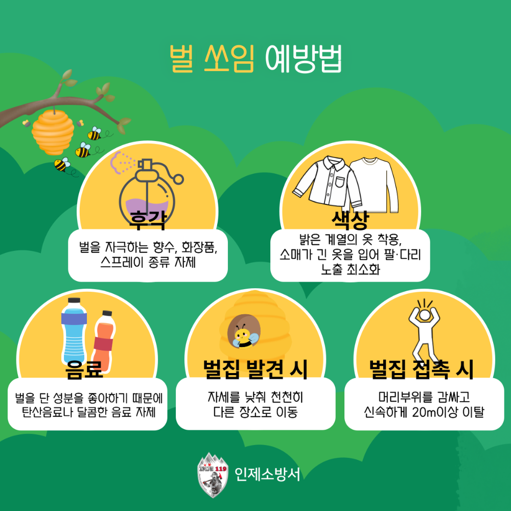 벌 쏘임 예방법1.png