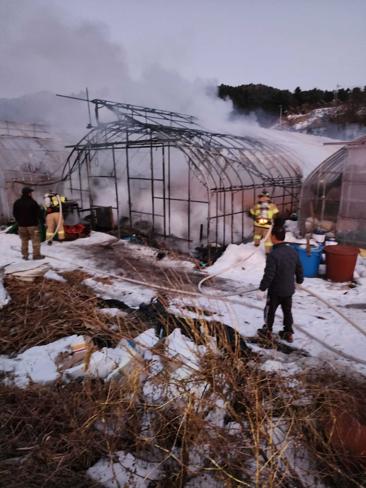 인제 하우스화재.jpg