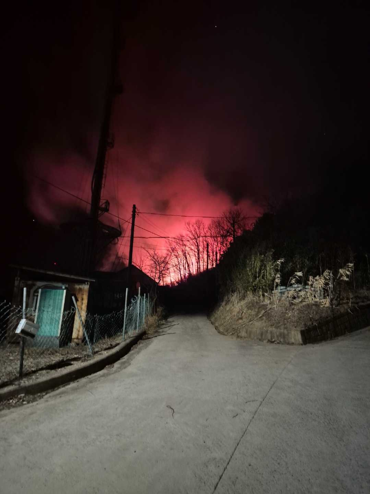 0056 양양 양양읍 화일리 산불 (3).jpg