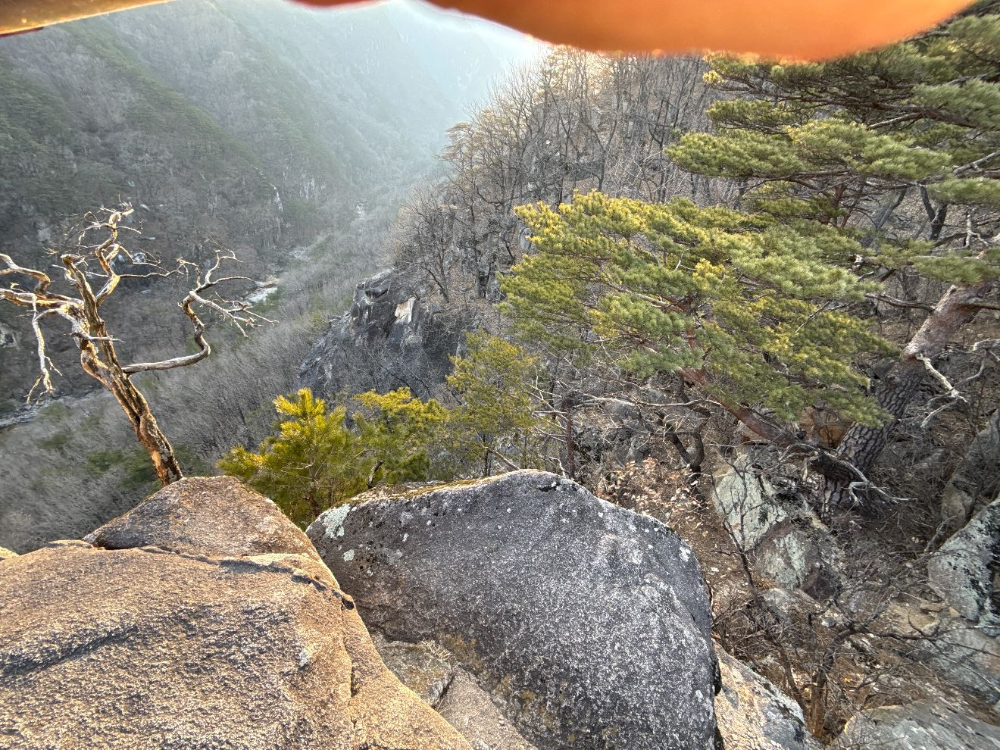 1604 동해 무릉계곡 추락 사고.jpg