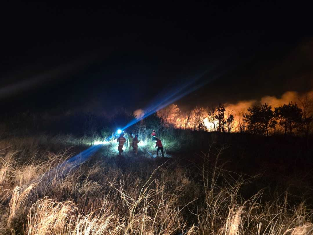1922 고성 토성면 인흥리 산림화재.jpg