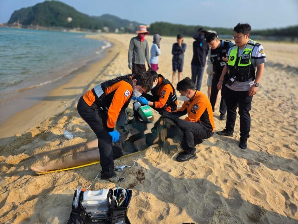 1649 고성 익수사고.jpg
