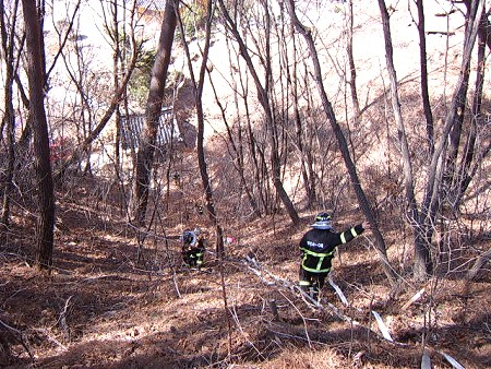 20060324ywfire2-1.jpg