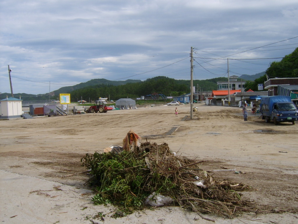 S3600025.JPG