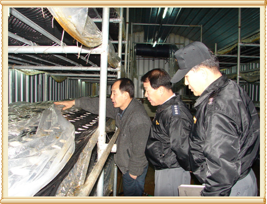 버섯작목.jpg