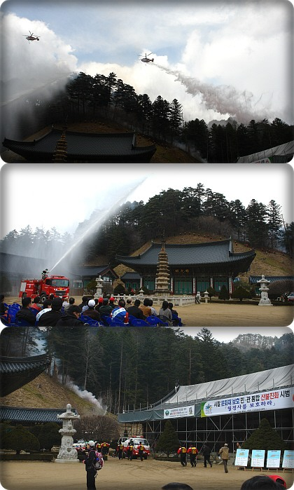 yw20080328-11.jpg