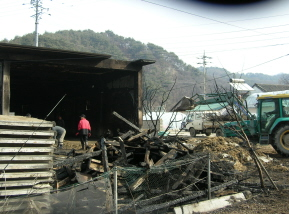 7버섯_2.jpg