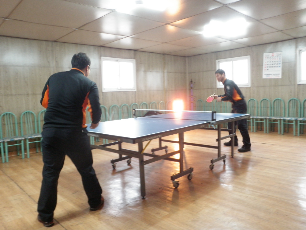 P2060044.JPG