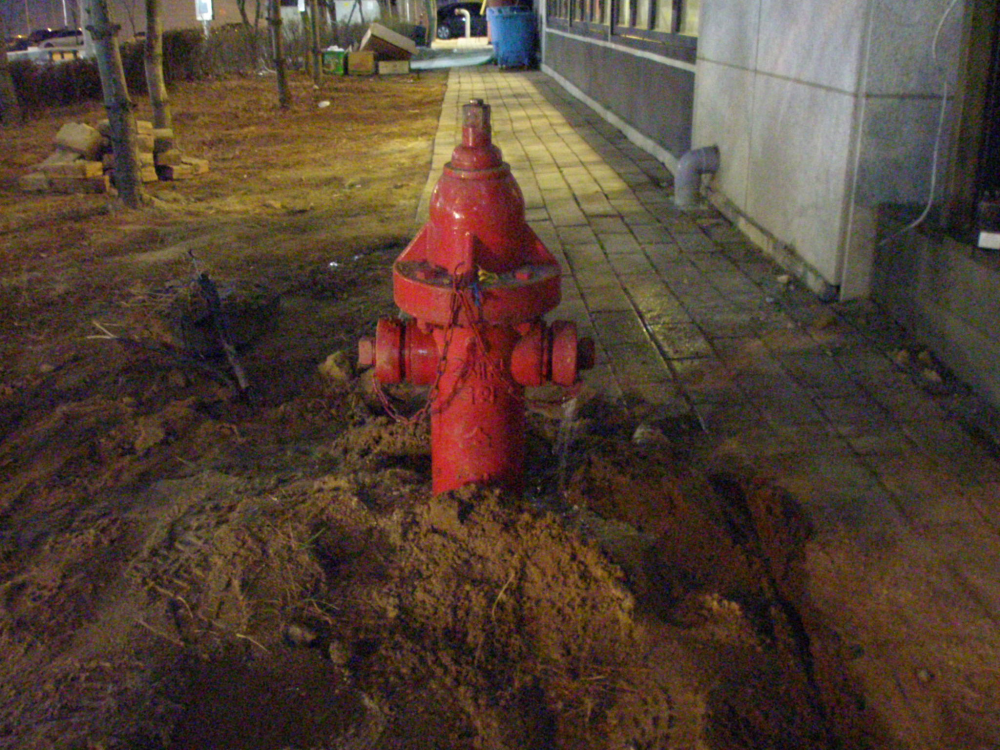P2200633.JPG