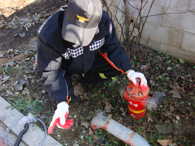 DSC08207.JPG