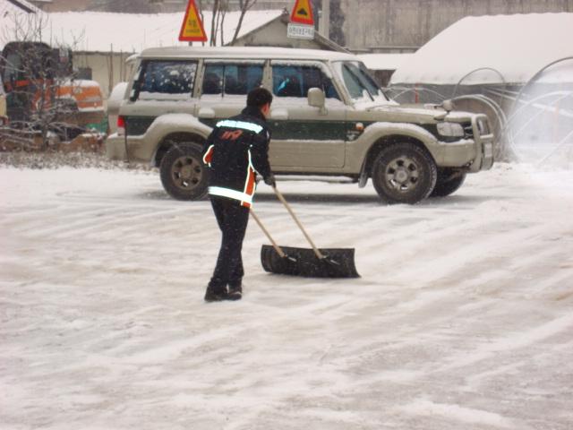 DSC08681.JPG