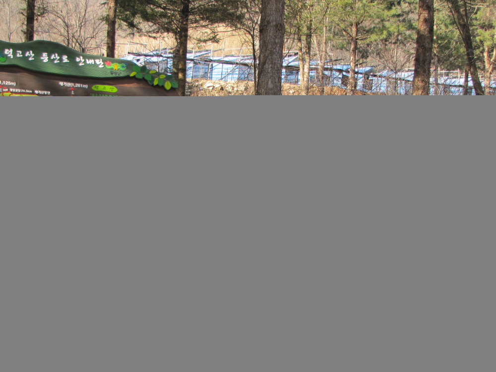 IMG_1872.jpg
