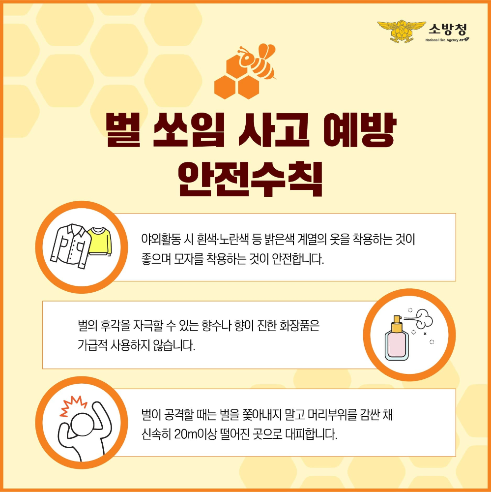 벌 쏘임 사고 예방 안전수칙.jpg