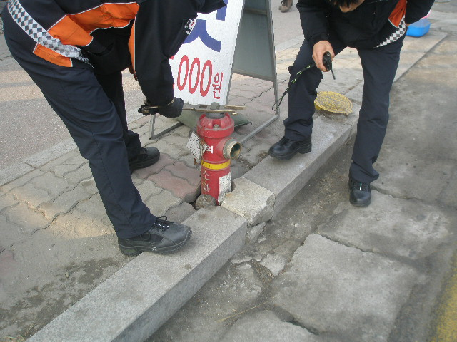 P1090489.JPG
