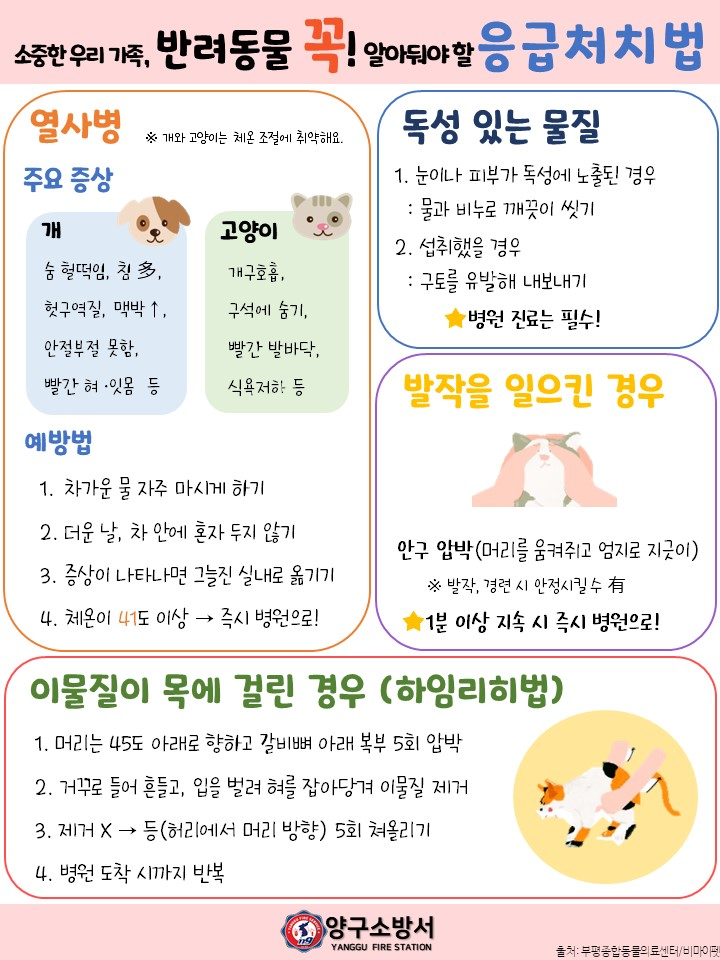 반려동물 응급처치2(2).JPG