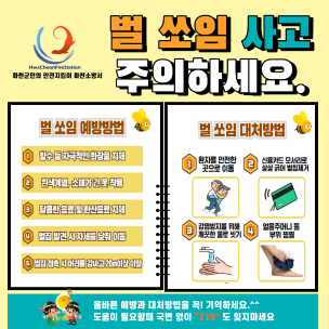 화천소방서, 벌 쏘임 사고에 주의하세요!