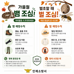 [안전ON인제 119뉴스] 벌 · 뱀조심!