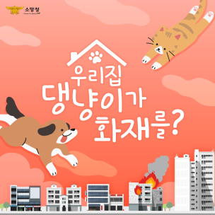 전기화재 원인 ! 알고보니 우리집 반려묘·견 ??