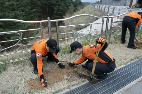 속초소방서, 식목행사 및 청사 환경정리 실시