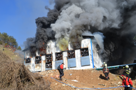 2012년 태백소방서 화재발생 통계 분석