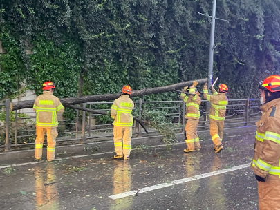 태백소방서, 태풍‘힌남노’로 인해 쓰러진 나무 안전조치