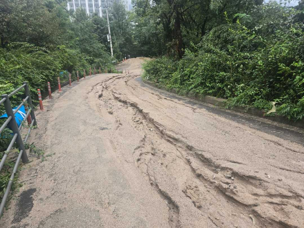 춘천 토사유출사진1.jpg